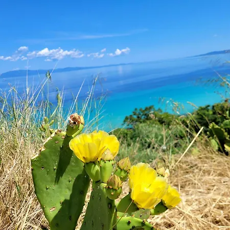 Anris & Dianas Dom - In A Quiet Part Of The Center * Kallithea (Chalkidiki)